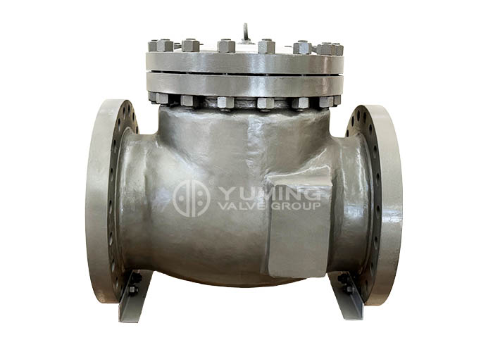 American Standard Check Valve